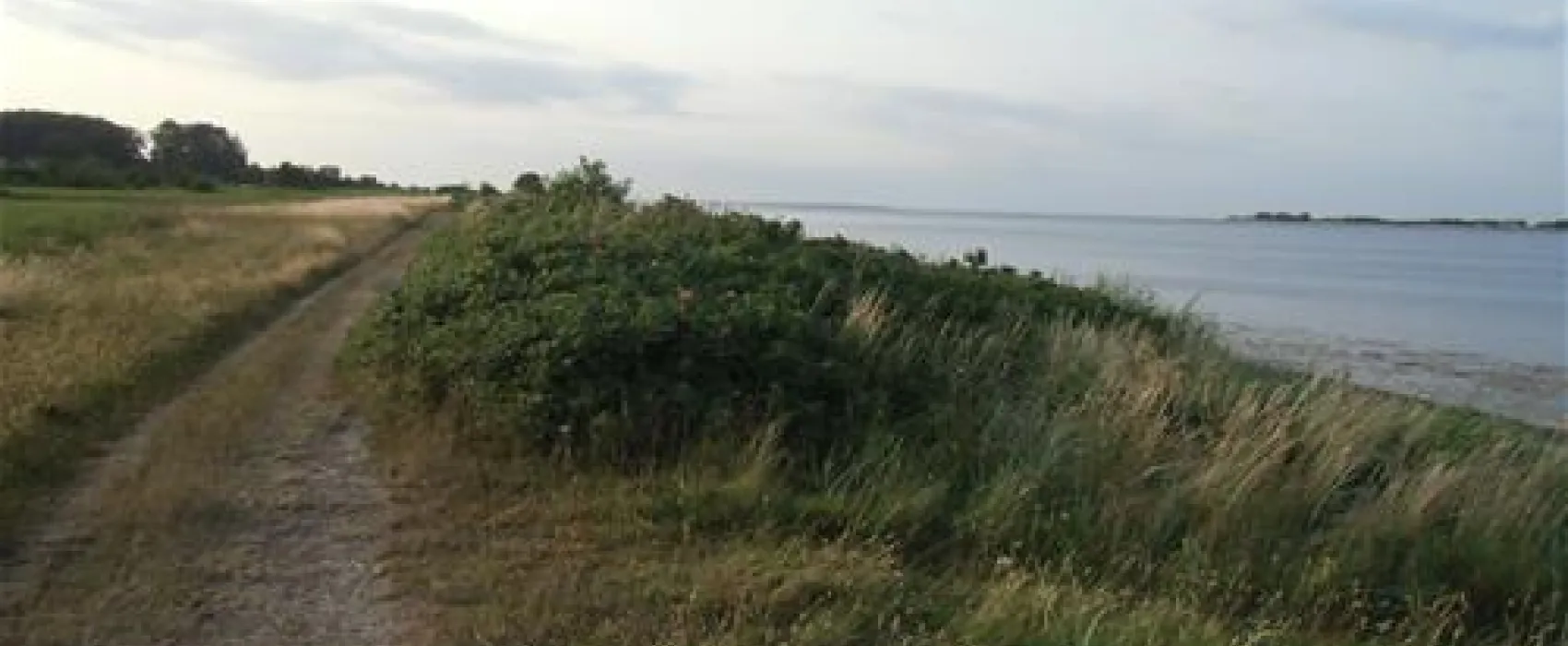 Gammelbro Camping