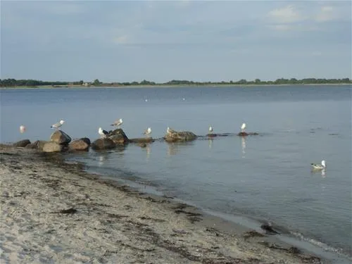 gammelbro-camping-haderslev-lnue6