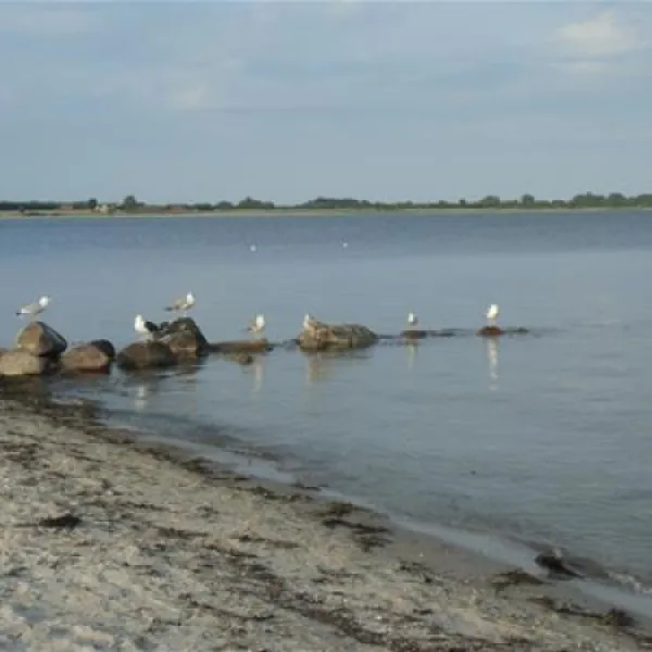 gammelbro-camping-haderslev-lnue6