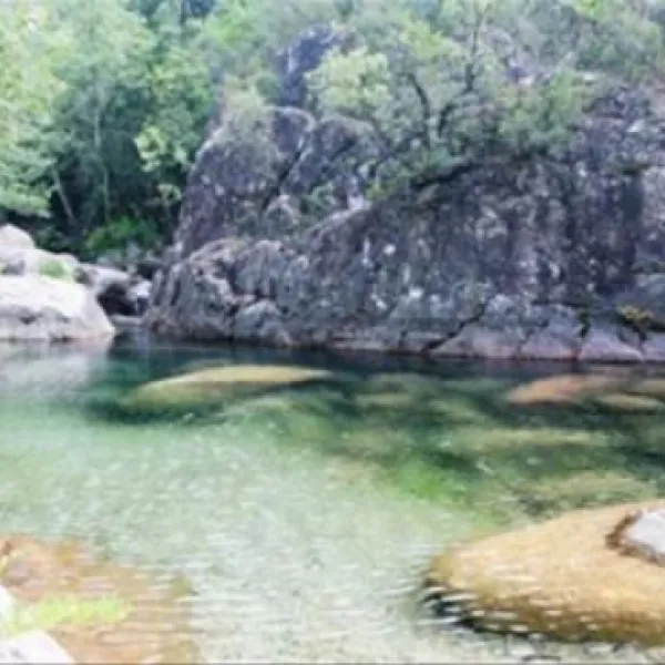 sole-di-sari-sari-solenzara-zgxgc