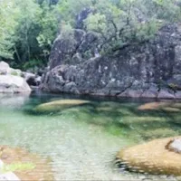 sole-di-sari-sari-solenzara-zgxgc