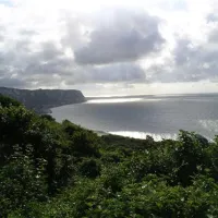 little-switzerland-caravan-site-folkestone-dviez