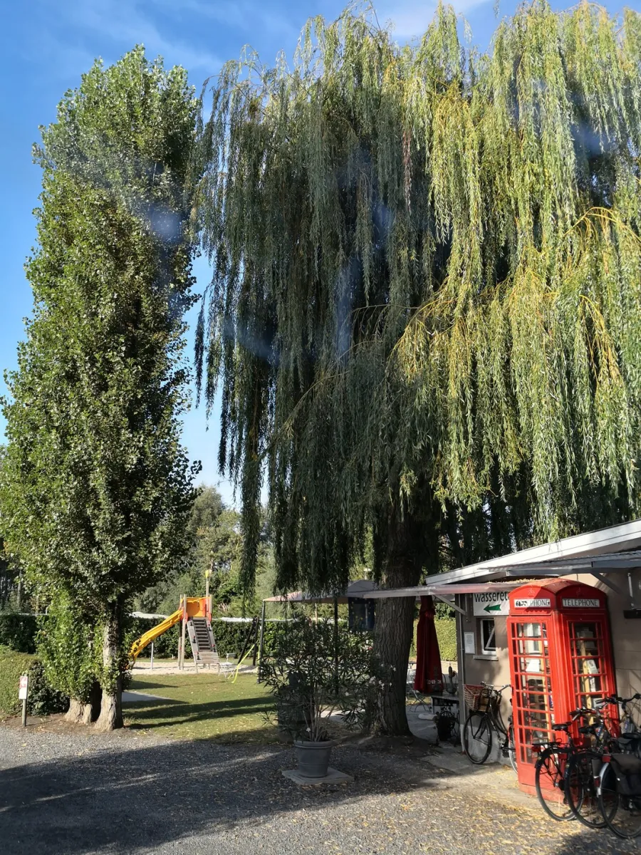 camping-groeneveld-bachtemarialeerne-lzuxx