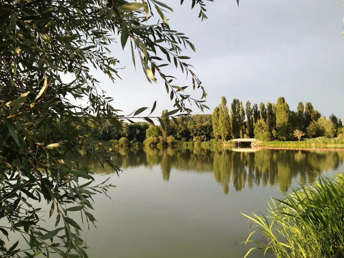 international-du-lac-vesoul-haute-saone-al86j