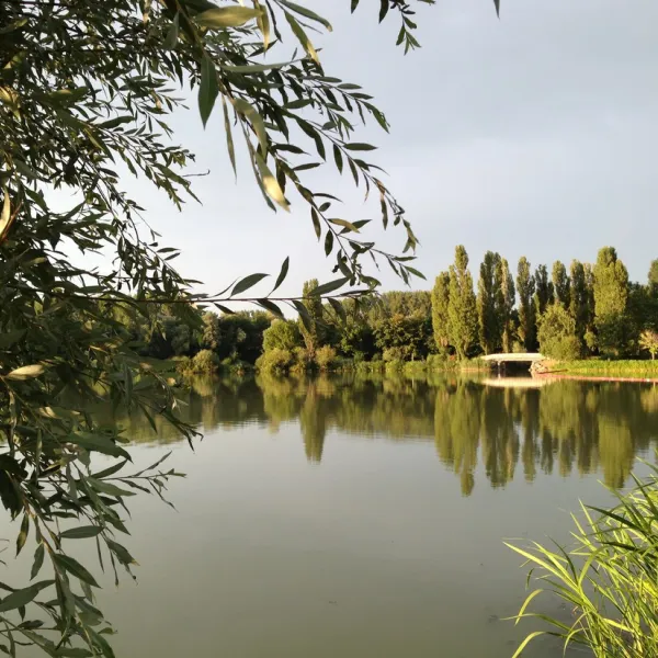 international-du-lac-vesoul-haute-saone-al86j
