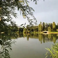 international-du-lac-vesoul-haute-saone-al86j