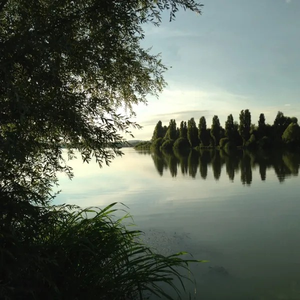international-du-lac-vesoul-haute-saone-hoya1