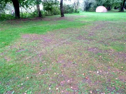 campingpark-treviris-trier-nexg4