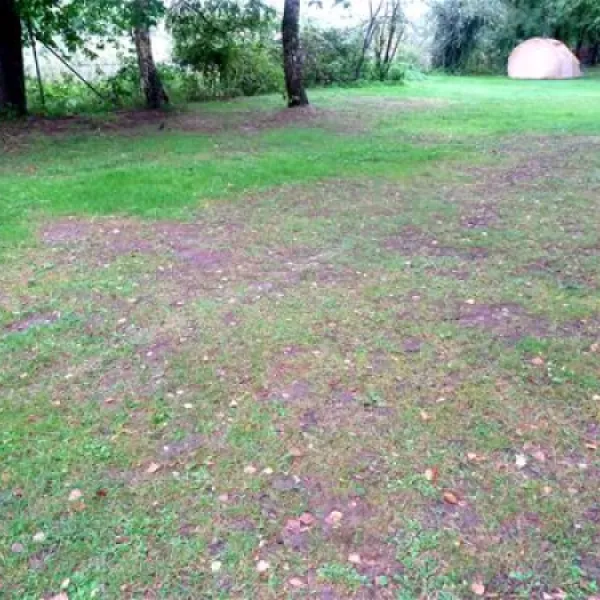 campingpark-treviris-trier-nexg4