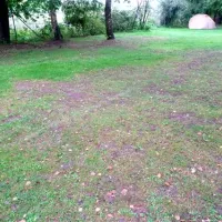 campingpark-treviris-trier-nexg4