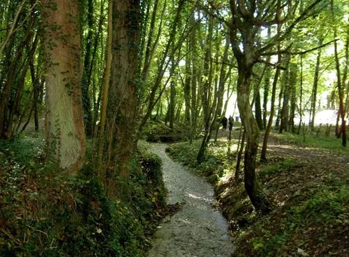 camping-la-kilienne-warlincourt-les-pas-aed0l