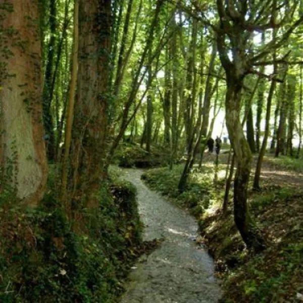 camping-la-kilienne-warlincourt-les-pas-aed0l