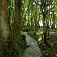 camping-la-kilienne-warlincourt-les-pas-aed0l