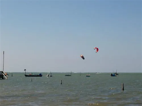 campeggio-al-bosco-grado-50pwz