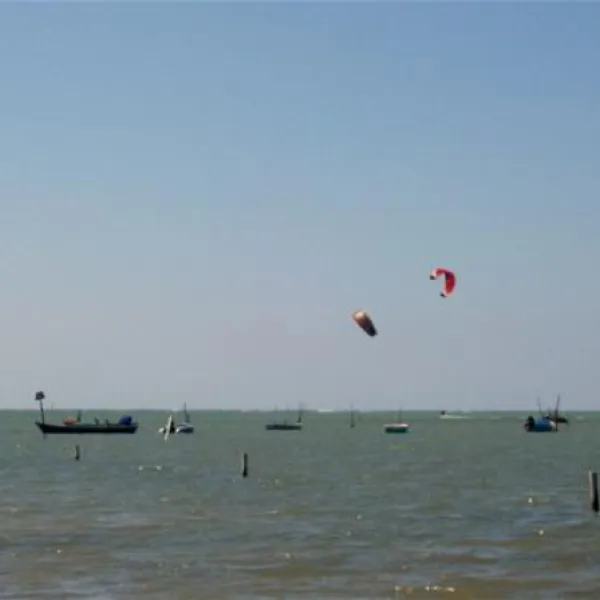 campeggio-al-bosco-grado-50pwz