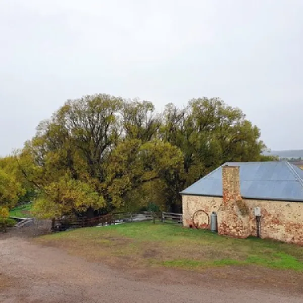 bothwell-campground-bothwell-ehirw