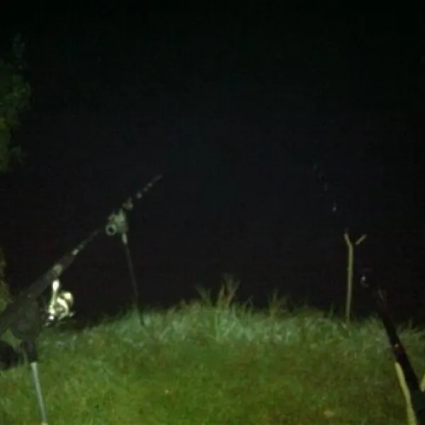 camping-hohenwarth-hohenwarth-fo79j