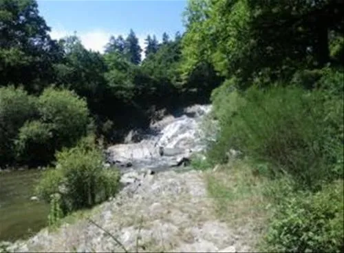 flower-camping-le-domaine-de-kervallon-caro-z2jm1