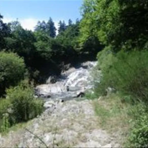 flower-camping-le-domaine-de-kervallon-caro-z2jm1