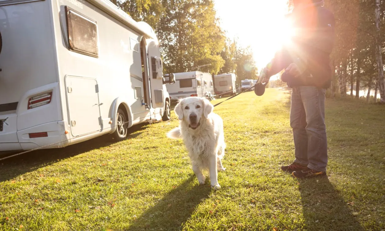 iin-sillat-camping-ii-jtbyc