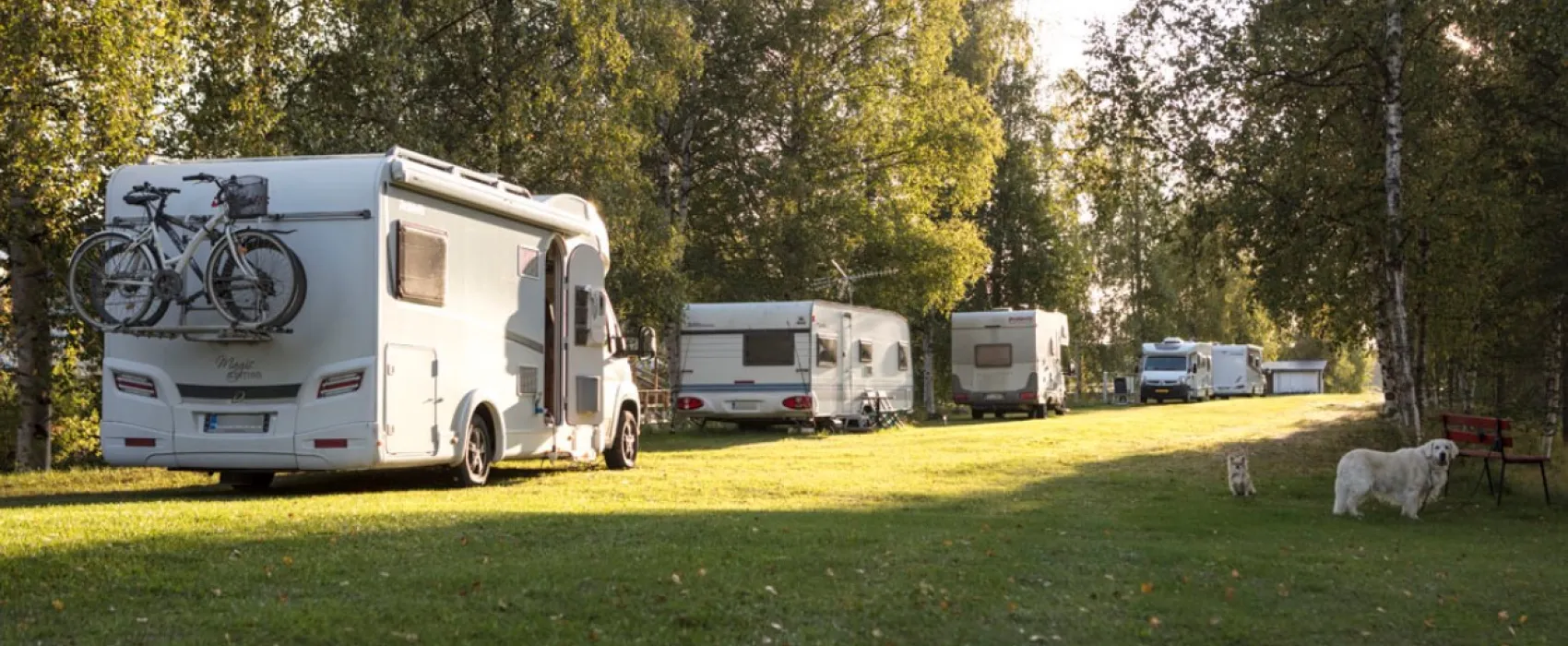 Iin Sillat Camping