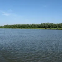 camping-jachthaven-beusichem-beusichem-1f0el