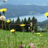 camping-brunner-am-see-dbriach-6cur8