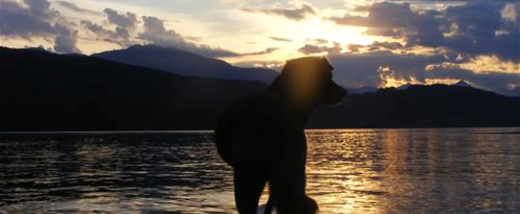 Camping Brunner am See