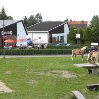 campingplatz-reinsberg-reinsberg-bei-freiberg-8ph7x