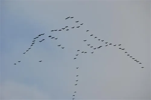 naturcamp-pruchten-pruchten-a1yfn
