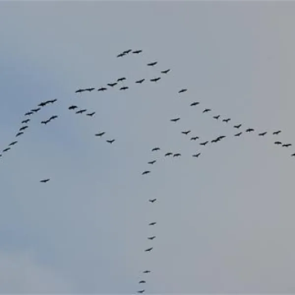 naturcamp-pruchten-pruchten-a1yfn