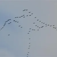 naturcamp-pruchten-pruchten-a1yfn