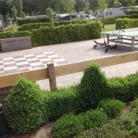 camping-den-blanken-neede-w339r