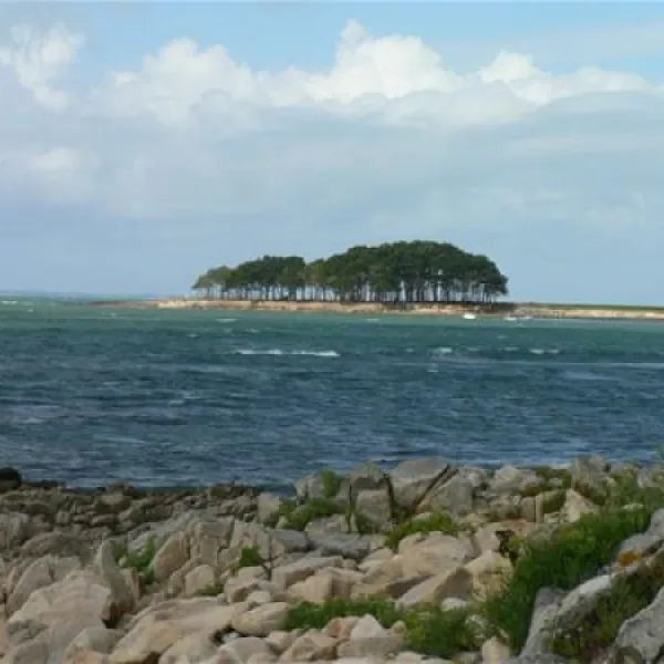 camping-municipal-la-falaise-locmariaquer-wgpr9
