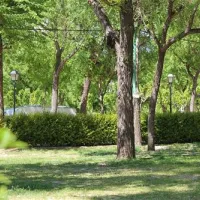 camping-el-globo-rojo-canet-de-mar-h8rhg