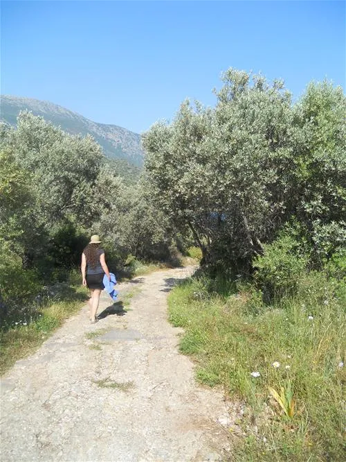 can-mocamp-kas-naszj
