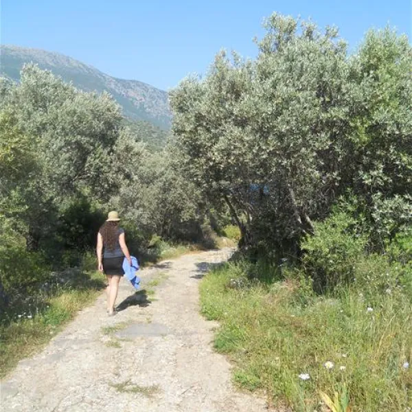 can-mocamp-kas-naszj