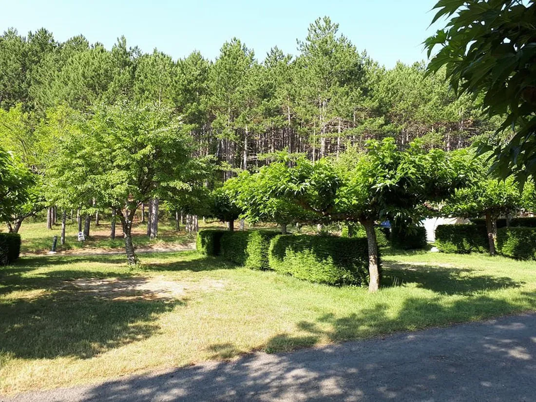 camping-municipal-la-sapinette-quillan-5wscq