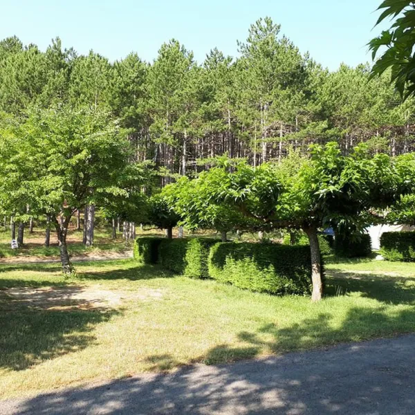 camping-municipal-la-sapinette-quillan-5wscq