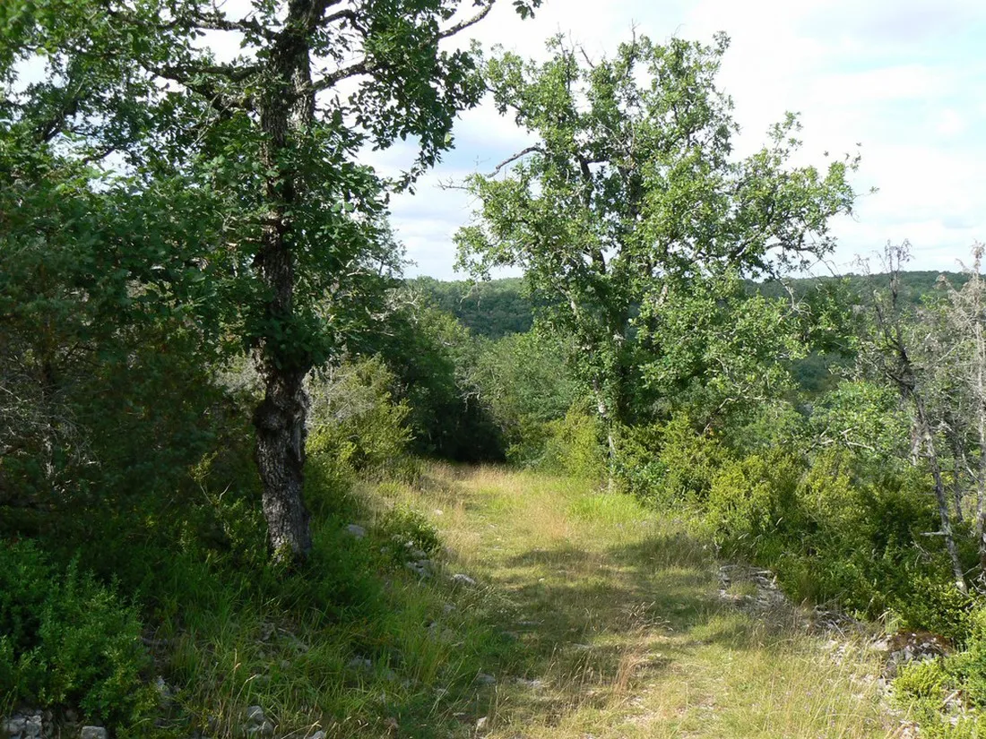 camping-naturiste-domaine-de-lalbrade-limogne-en-quercy-uazxl