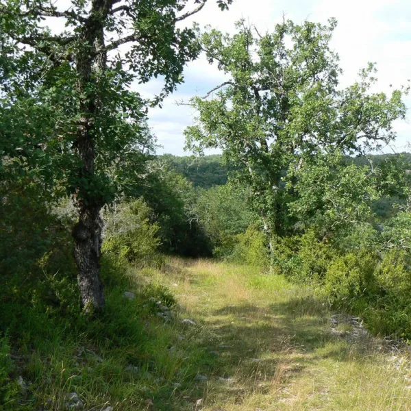 camping-naturiste-domaine-de-lalbrade-limogne-en-quercy-uazxl