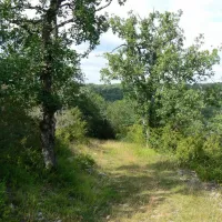camping-naturiste-domaine-de-lalbrade-limogne-en-quercy-uazxl