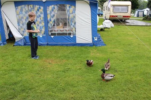rheincamping-siebengebirgsblick-remagenrolandswerth-5uj5k