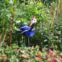 camping-le-fayard-veix-igxk1