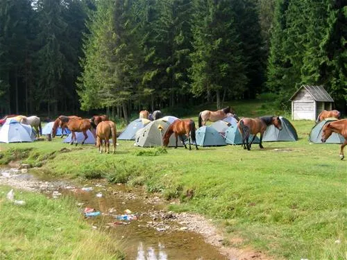 camping-poiana-glavoi-spre-cetetiile-ponorului-ppo82