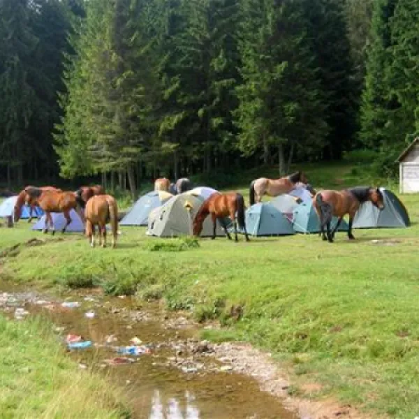 camping-poiana-glavoi-spre-cetetiile-ponorului-ppo82