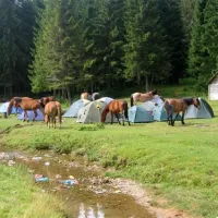 camping-poiana-glavoi-spre-cetetiile-ponorului-ppo82