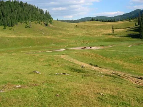 camping-poiana-glavoi-spre-cetetiile-ponorului-sp2pm