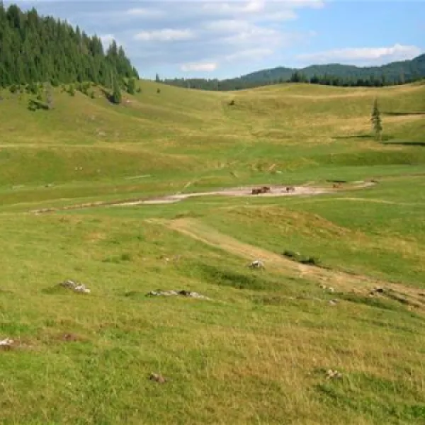 camping-poiana-glavoi-spre-cetetiile-ponorului-sp2pm