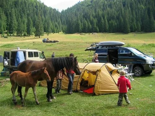 camping-poiana-glavoi-spre-cetetiile-ponorului-yfi3c